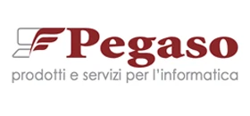 Partner